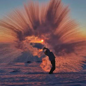 Meet your Posher, Danica